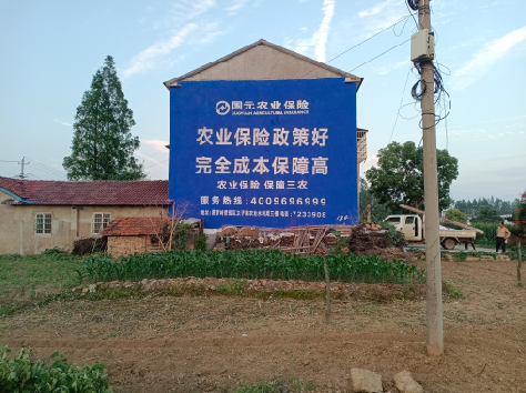 合阳墙体广告的优劣势你知道吗？